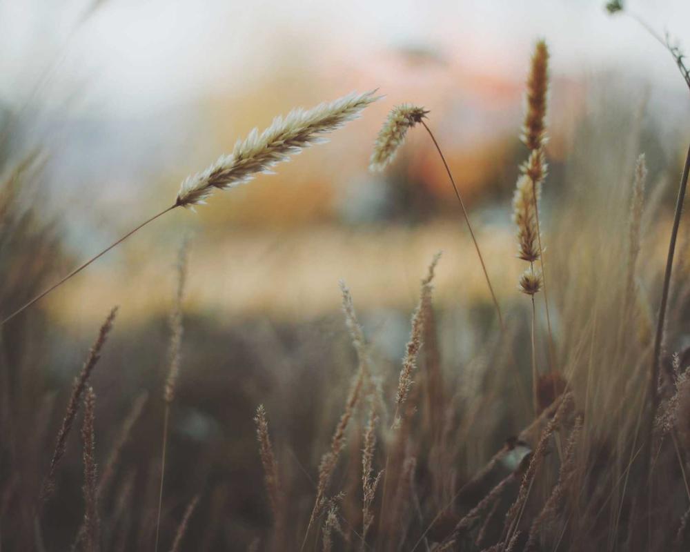 Sur la piste · ambiance